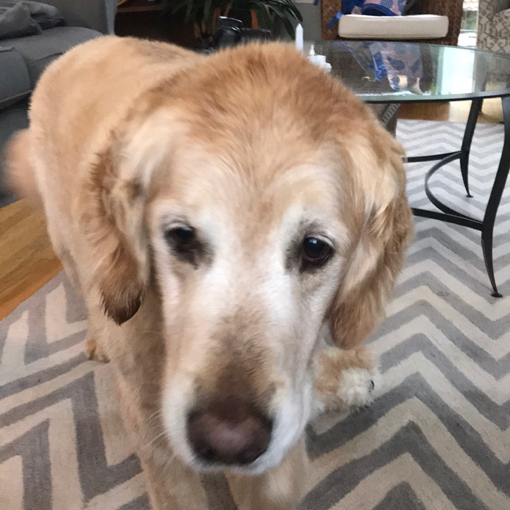 Meet your Posher, Colleen